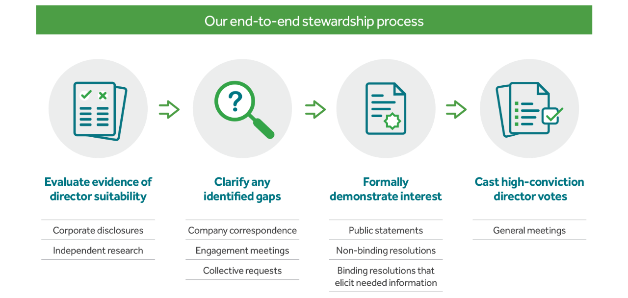 Stewardship Process Diagram