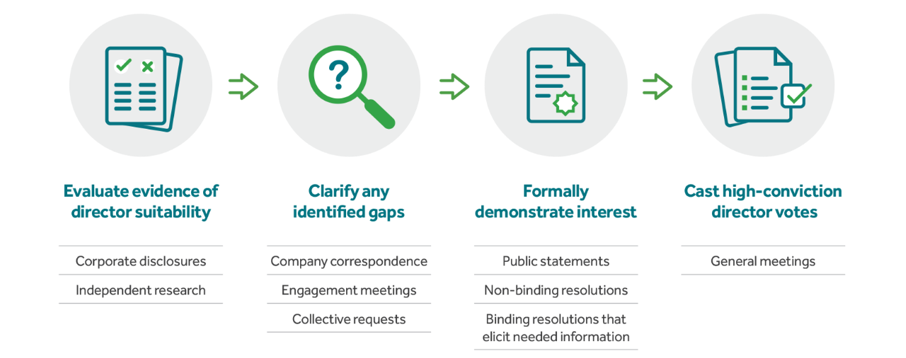 Stewardship Process Diagram