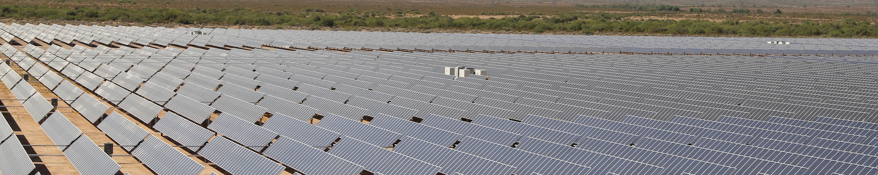 Rows of solar panels