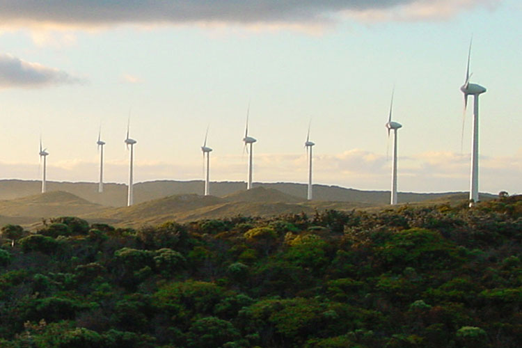 Wind turbines in green trees by the coast