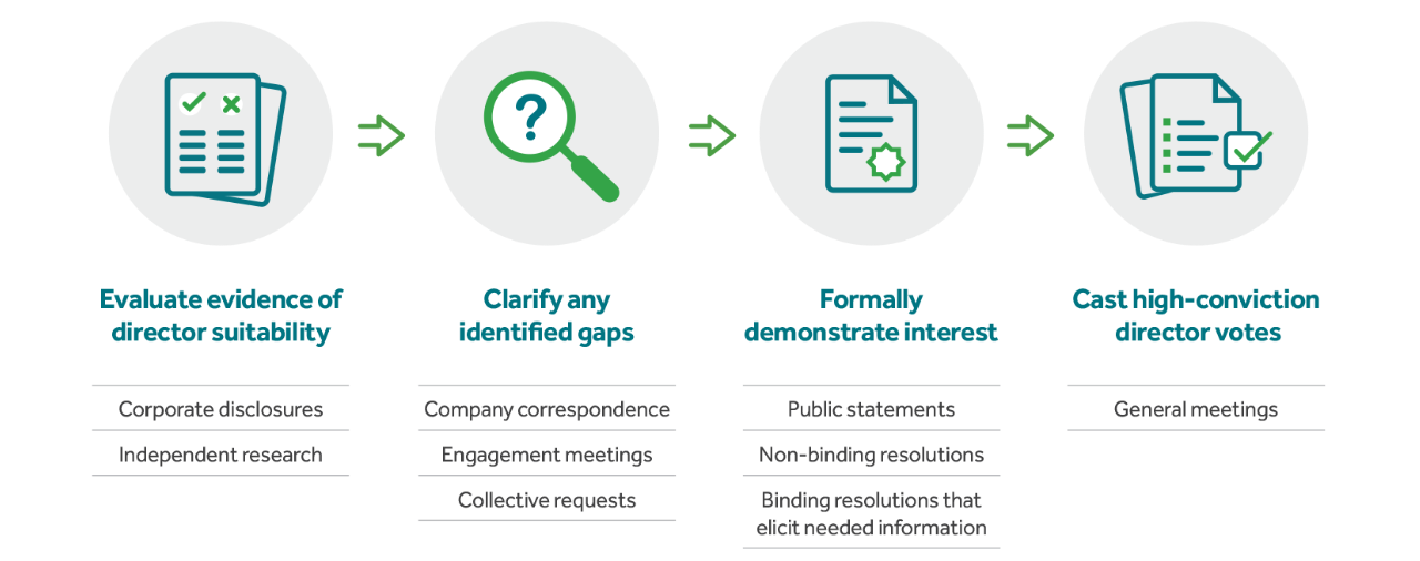 Stewardship Process Diagram